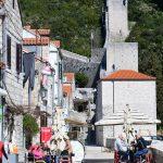 ston djir20