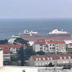 cruiser marina5
