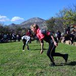osojnik igre32