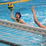 tomo udovicic u1507