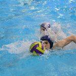 tomo udovicic u1508