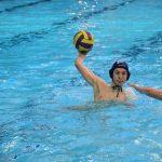 tomo udovicic u1509