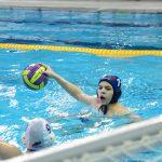 tomo udovicic u1510
