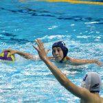 tomo udovicic u1511