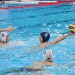 tomo udovicic u1515