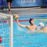 tomo udovicic u1516
