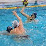 tomo udovicic u1519