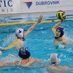 tomo udovicic u1520