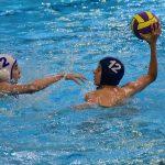 tomo udovicic u1521