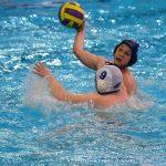 tomo udovicic u1523