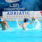 tomo udovicic08