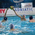 tomo udovicic10