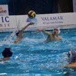 tomo udovicic11