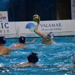tomo udovicic15
