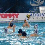 tomo udovicic16