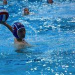 tomo udovicic204