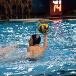tomo udovicic24