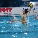 tomo udovicic26