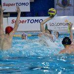 tomo udovicic29
