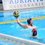 tomo udovicic306
