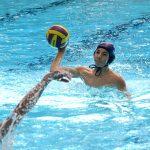 tomo udovicic307
