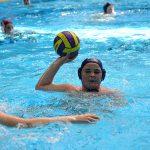 tomo udovicic308