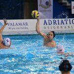tomo udovicic31