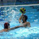 tomo udovicic310