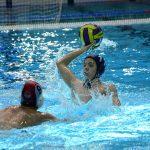 tomo udovicic311