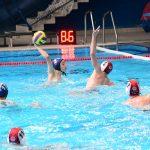 tomo udovicic315