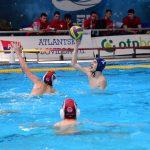 tomo udovicic320