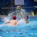 tomo udovicic321