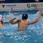 tomo udovicic33