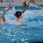 tomo udovicic34