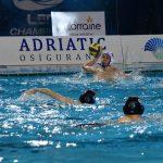tomo udovicic37