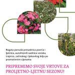 vizual proljece rasadnik cibaca