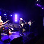 Dalmatino Band Kupari 14