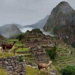 Zlatko Rajcevic Peru 2