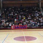 square dinamo majstorica 7