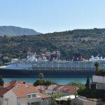 cruiser disney 2