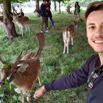 domagoj glavinja Phoenix Park u Dublinu