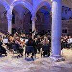koncert pavle despalj dso 11