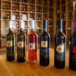 terra madre vino web 3