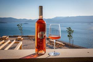 terra madre vino web 4