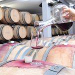terra madre vino web 7