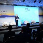 dubrovnik forum 4