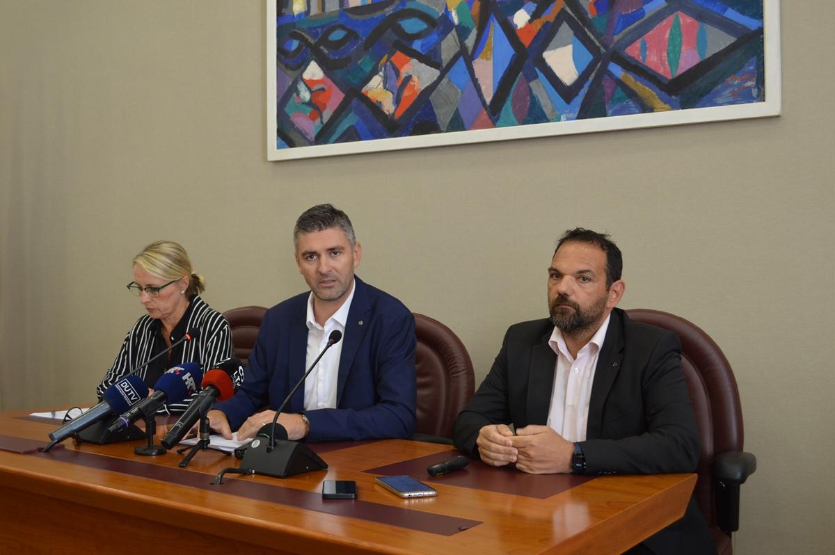 frankovic tepsic brcic 3