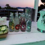 hendricks06