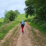 terezina orlic camino6