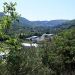 tup knezica040